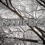 lvnmora - мороз - фото