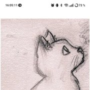 Пикми котята - фото