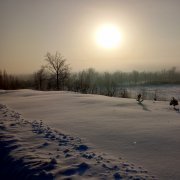 Певчая - Ты заря ( DJ Zozul remix)