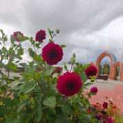 SPAM-ярмарка судеб - фото