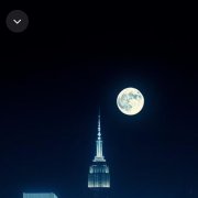 Настурция Петро - Дитя асфальта