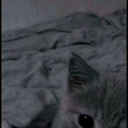 Обнимай - фото