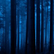 Sequencia não noite bola 7.7