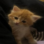 #Вечномертвый - menya snova