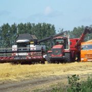 Ладина Ксения- Работники Колхоза