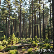 angelovitch - montagem agora