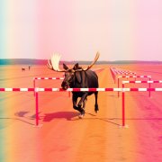 Квакин - Совесть легкой атлетики