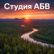 Криво въехали