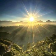 Призрак - Новый Рассвет