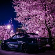 bushy - kreepin out de cut (remix)