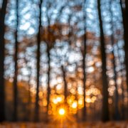 Лэс - С чистого листа