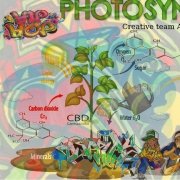 Творческая группа Америка - Фотосинтез