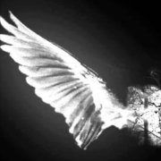 RockSam - матушка земля