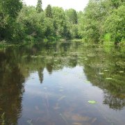 Сны Комелы - Весна