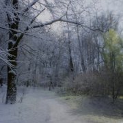 Сны Комелы - Со свиданием