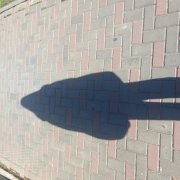 Не верь себе . Простите мои грехи
