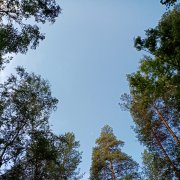 Наталья Гафарова - Когда в ней жить уютно