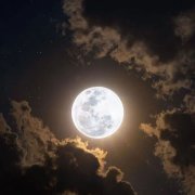 ЛЭС - Ночная сказка - фото