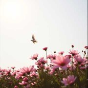 Где ты, мама