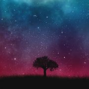 Челик X - Нынешний род