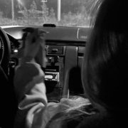 Dani Dark - Осенний день - фото