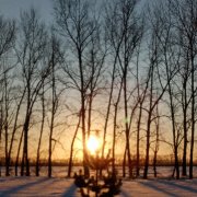 Наталья Гафарова - Что делаем