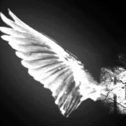 RockSam - это всё