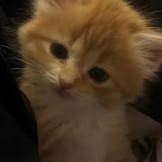 Florian - А ты красивая