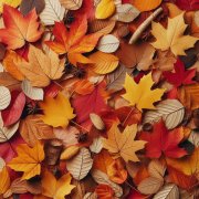 LxHmStudio - Autumn Park