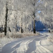 LxHmStudio - Falling Snow