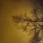 Matt Williams - World L.A