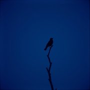 Inferno - Последняя ночь