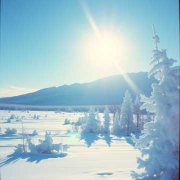 Пожидаев Артём Сергеевич