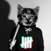 кот саня 225 - власть v1.0