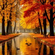 Осенняя пора🍁