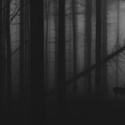 Flai Foursls - Minaited