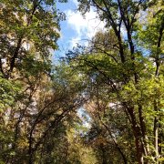 Наталья Гафарова - Любить - значит беречь