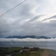 Маша и медведи 18+