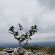Ашихмин ВиталиК - Пермский край - фото