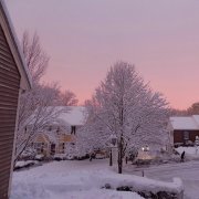 NIKØLOV - New Year's vibe