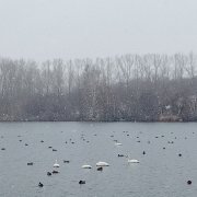 Наталья Гафарова - А ну её