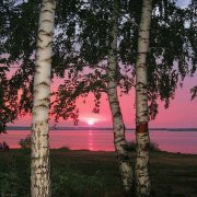 Djkocha-Расбросала косы