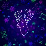 Markusa - новогодняя