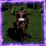 bedrik gaining popularity