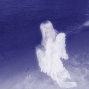 Sasha FL - angel trauma