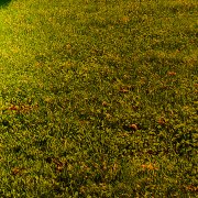 Janiiq - Never felt so