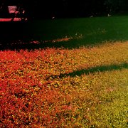 Janiiq - All defenders