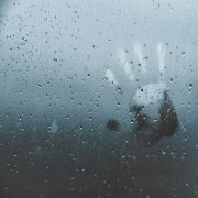 Алексей Шевырёв - Горечь