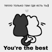 #рыжая кошка. |rina.⁰⁴:¹¹|—помнишь наши окна?