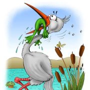 Никогда не сдавайся.